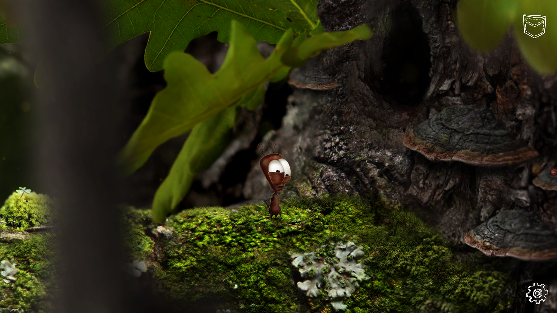 Świat z perspektywy mrówki